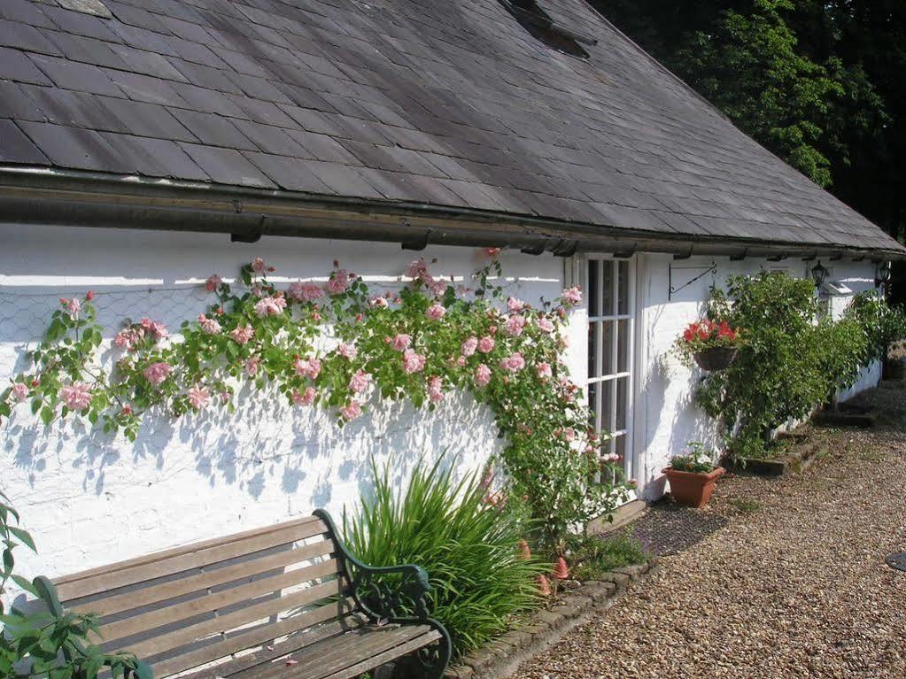 Detling Coachhouse Bed and Breakfast Maidstone Eksteriør billede
